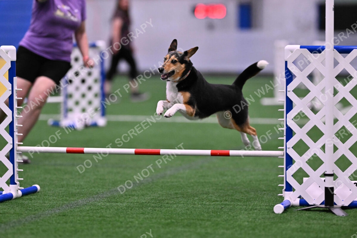 Rye-Elizabeth-Devore-10454