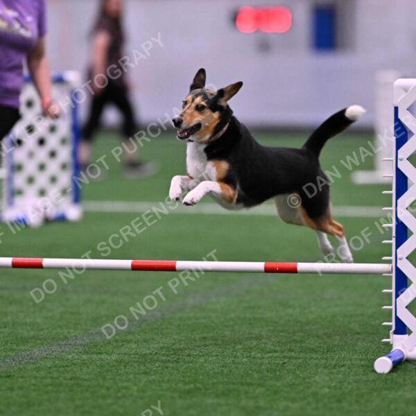 Rye-Elizabeth-Devore-10454