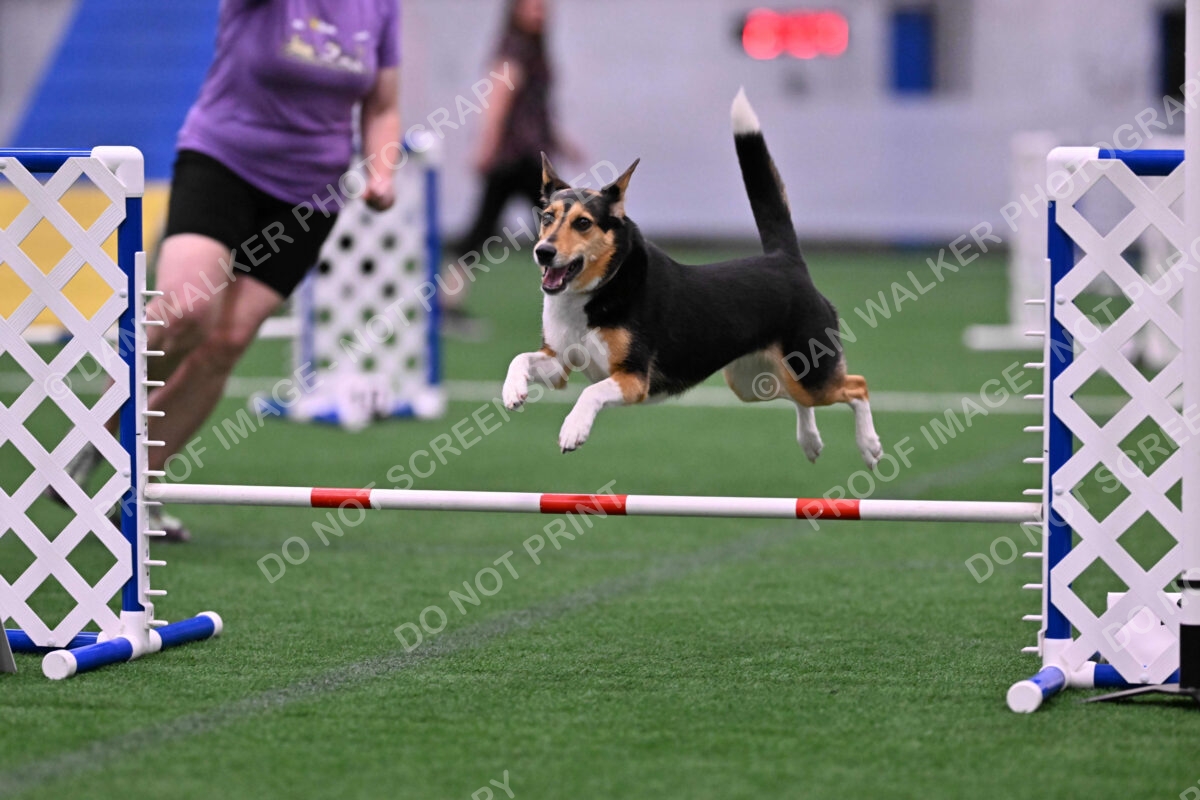 Rye-Elizabeth-Devore-10455