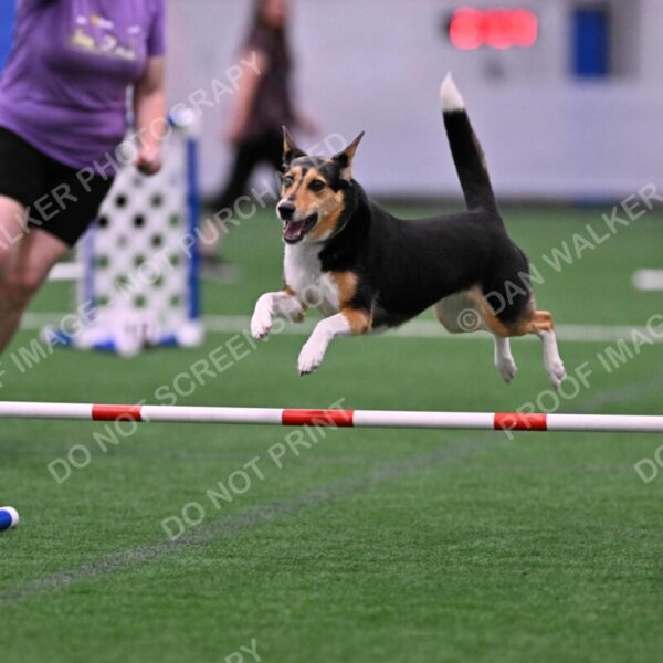 Rye-Elizabeth-Devore-10455