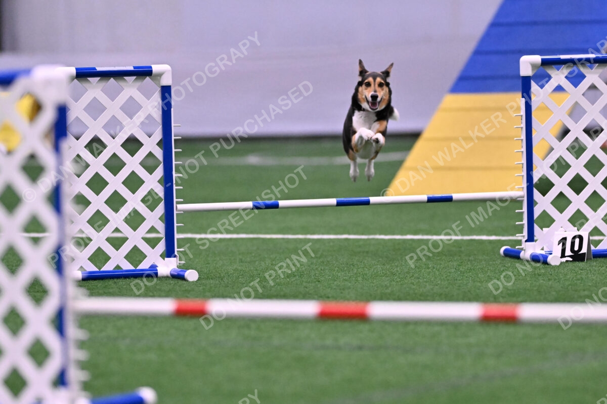 Rye-Elizabeth-Devore-10473