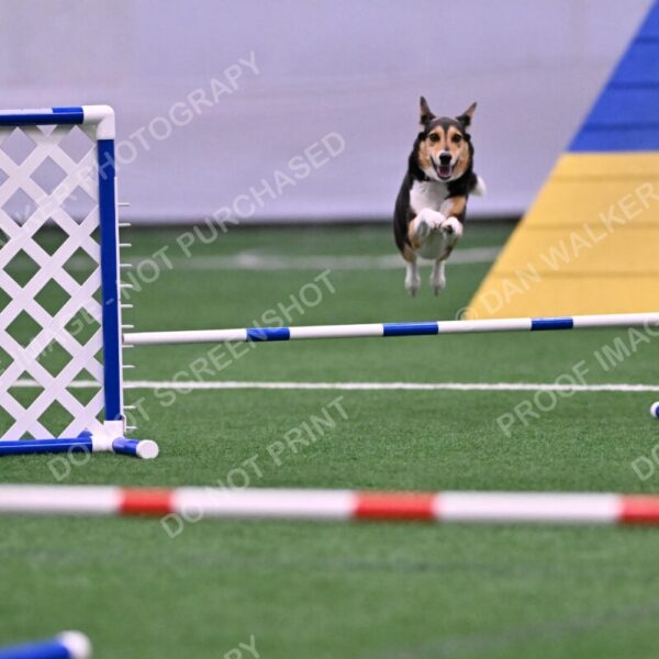 Rye-Elizabeth-Devore-10473