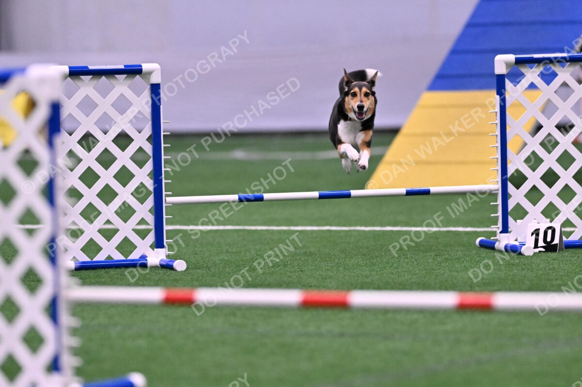 Rye-Elizabeth-Devore-10474