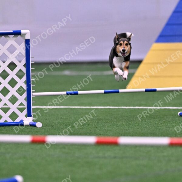 Rye-Elizabeth-Devore-10474