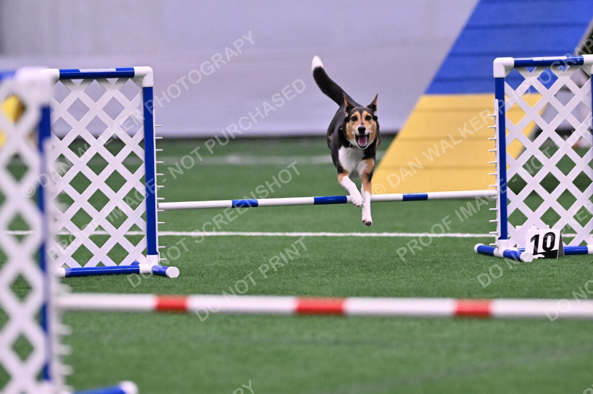 Rye-Elizabeth-Devore-10475