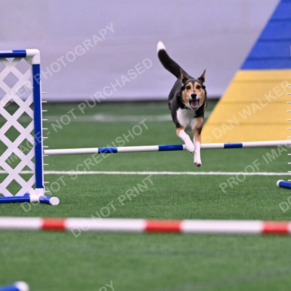 Rye-Elizabeth-Devore-10475