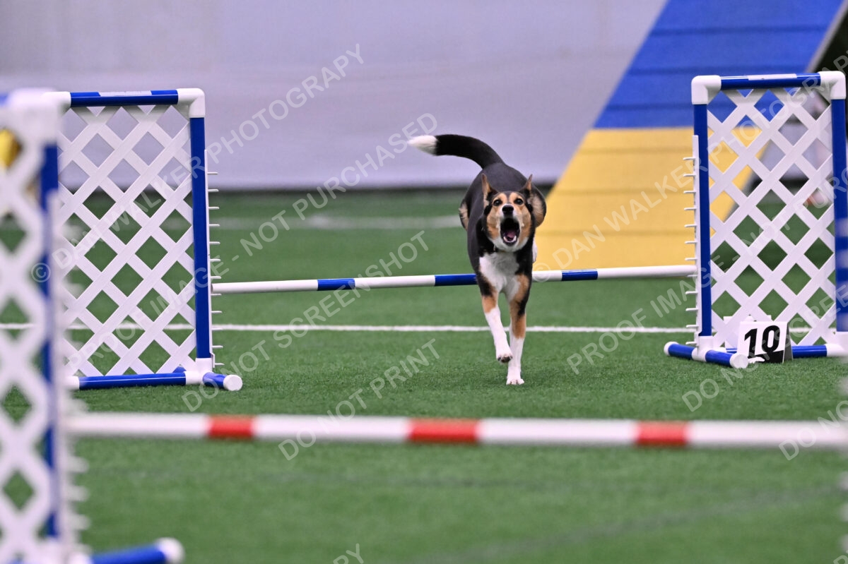 Rye-Elizabeth-Devore-10476