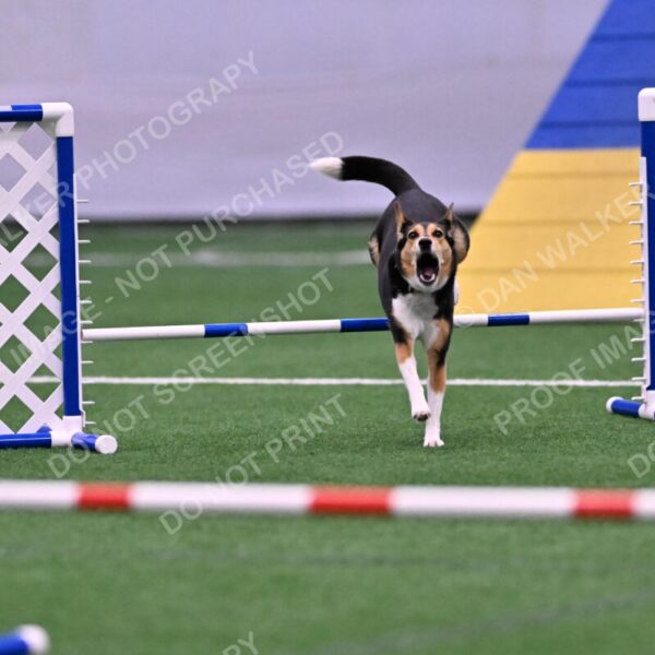 Rye-Elizabeth-Devore-10476