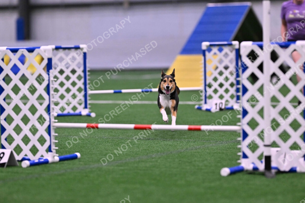 Rye-Elizabeth-Devore-10477