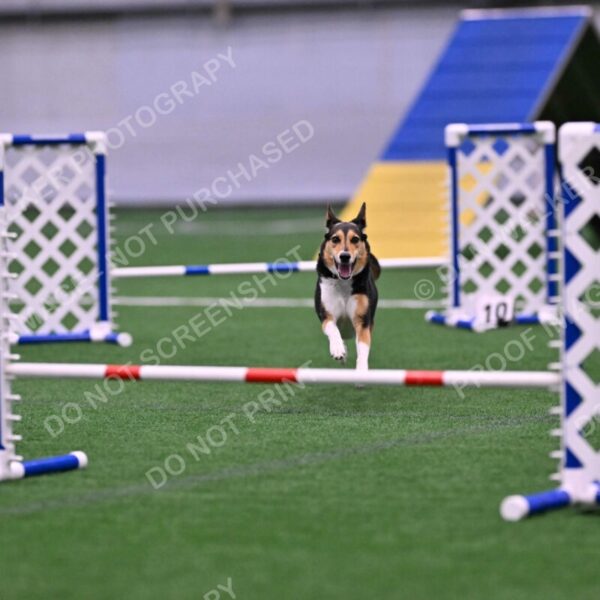 Rye-Elizabeth-Devore-10477