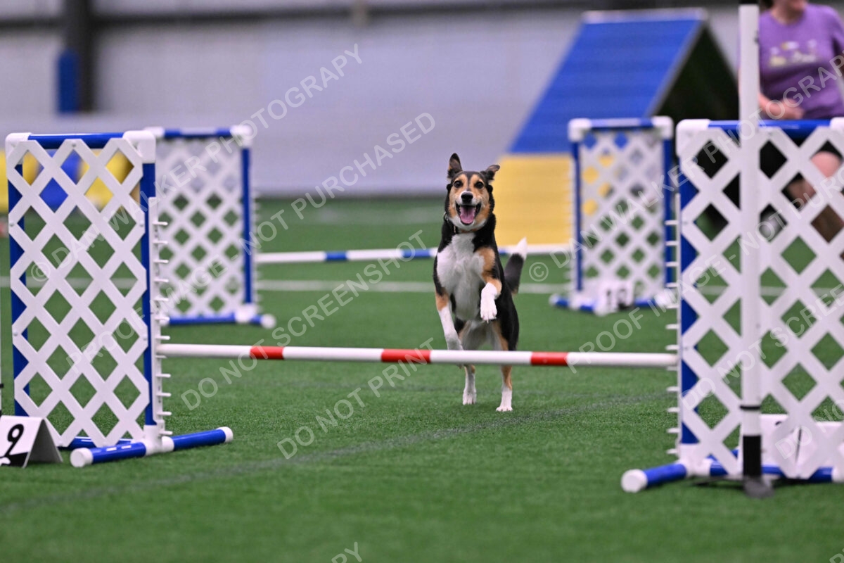 Rye-Elizabeth-Devore-10480