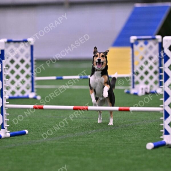 Rye-Elizabeth-Devore-10480