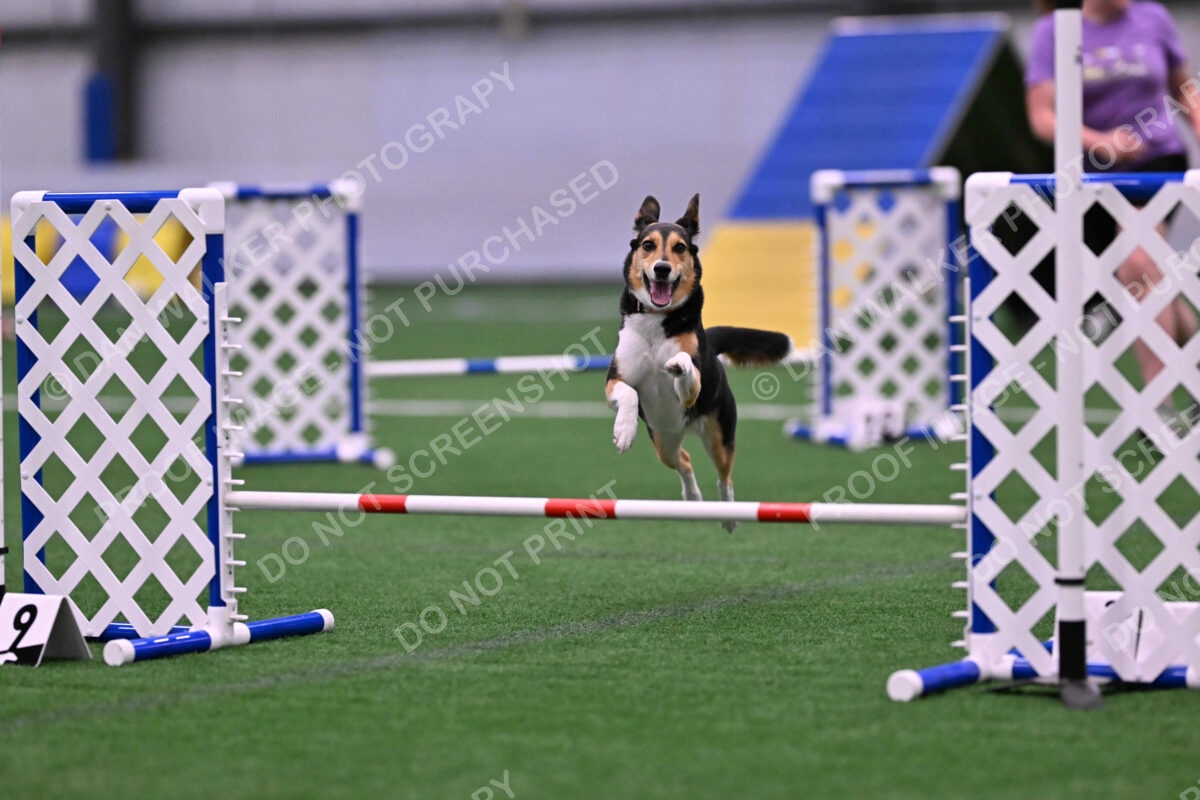 Rye-Elizabeth-Devore-10481