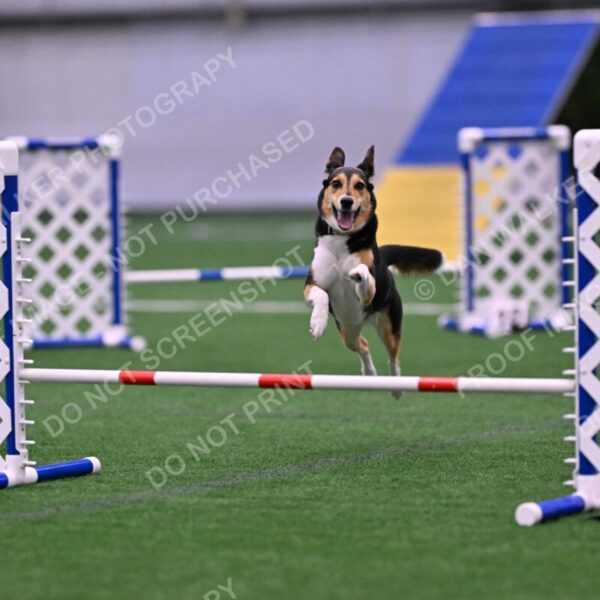 Rye-Elizabeth-Devore-10481