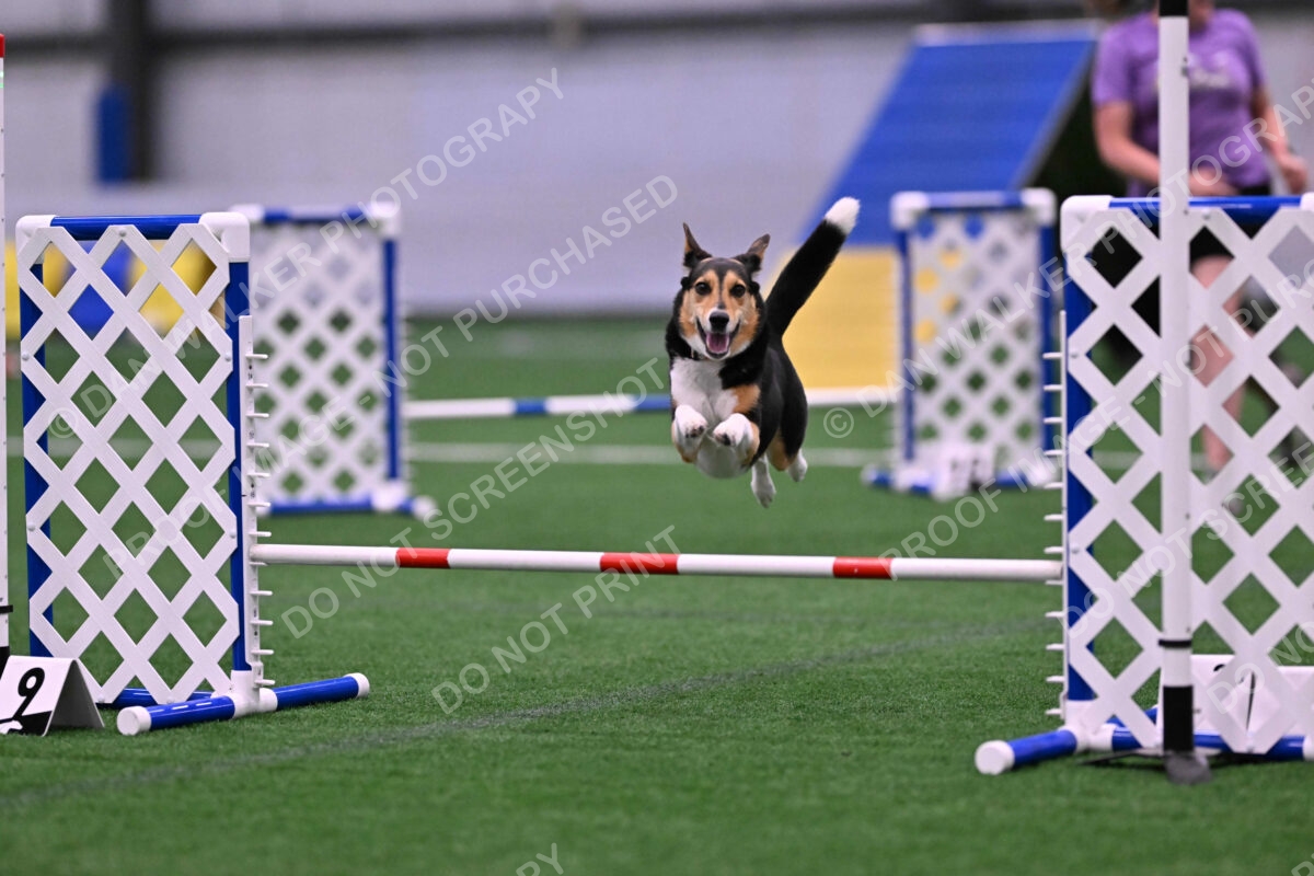 Rye-Elizabeth-Devore-10482