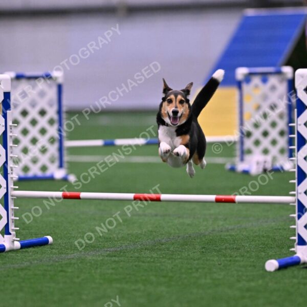 Rye-Elizabeth-Devore-10482