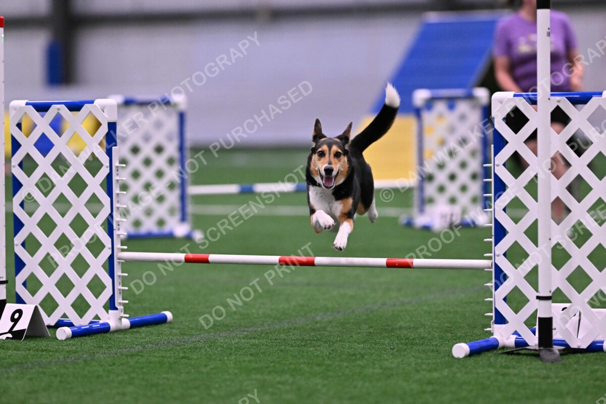 Rye-Elizabeth-Devore-10483