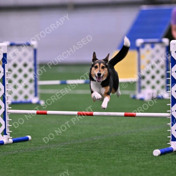 Rye-Elizabeth-Devore-10483