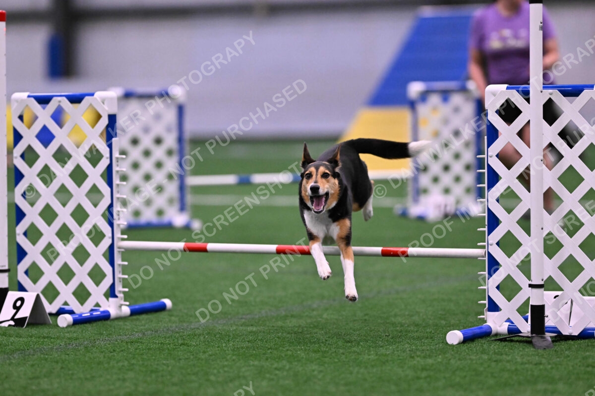 Rye-Elizabeth-Devore-10484