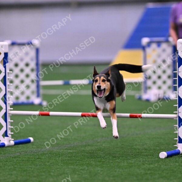 Rye-Elizabeth-Devore-10484