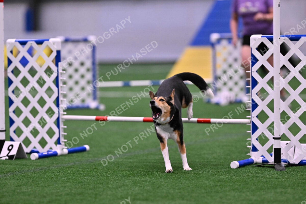 Rye-Elizabeth-Devore-10485