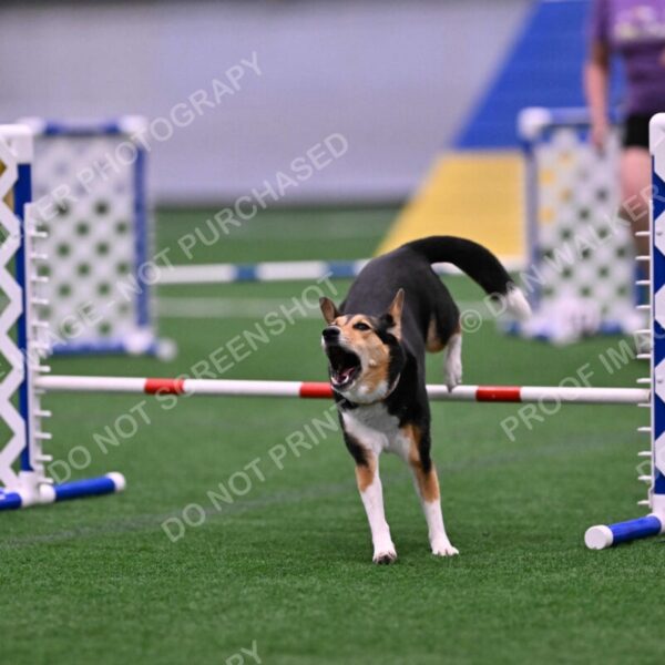 Rye-Elizabeth-Devore-10485