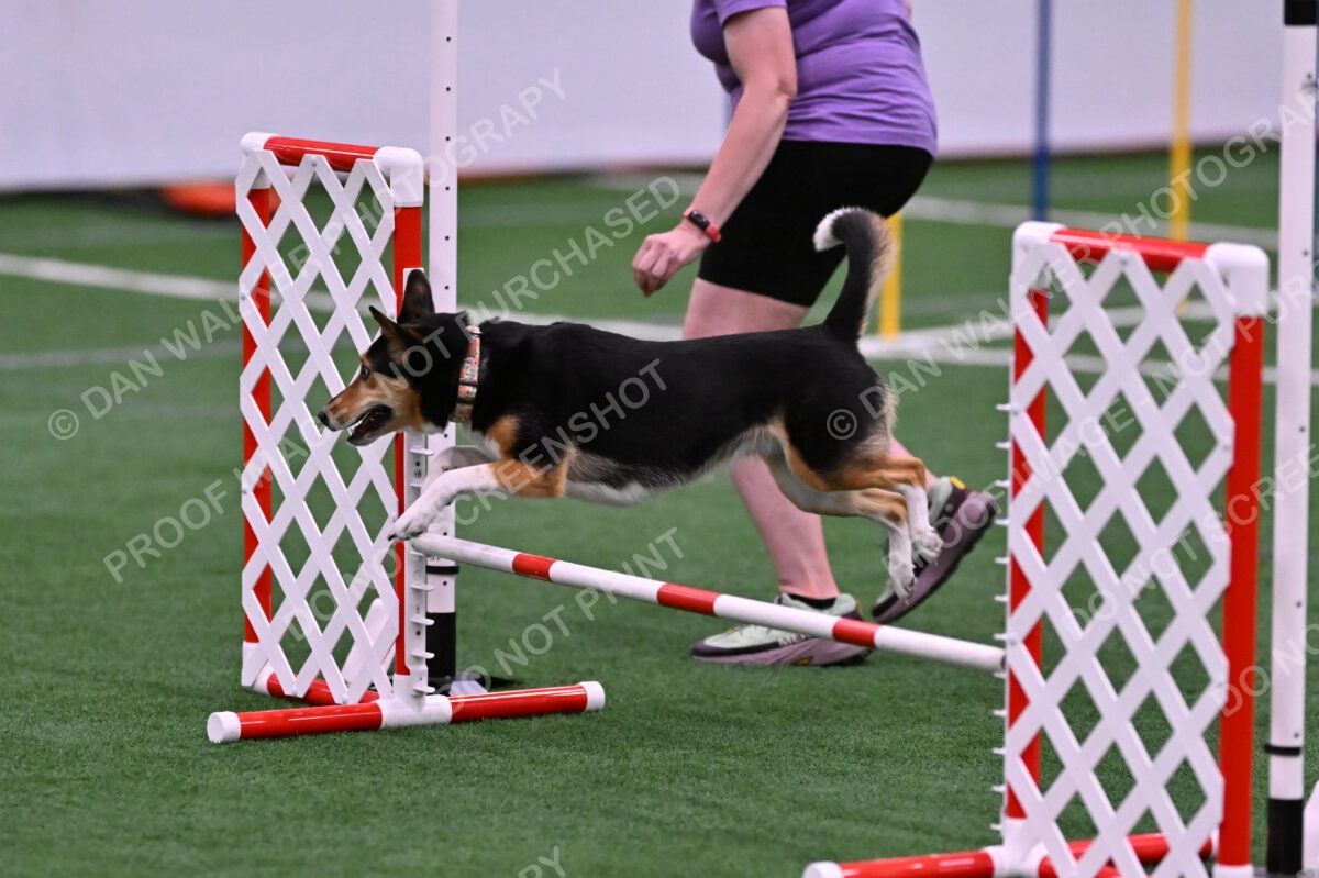 Rye-Elizabeth-Devore-10488