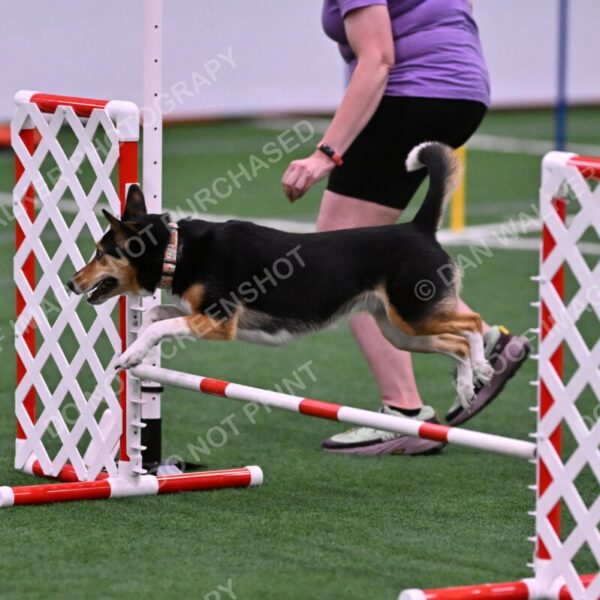 Rye-Elizabeth-Devore-10488