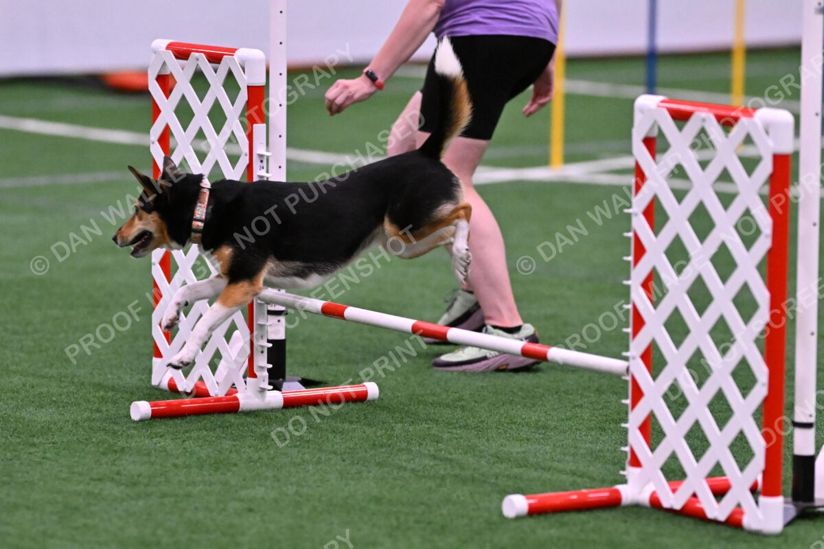 Rye-Elizabeth-Devore-10489