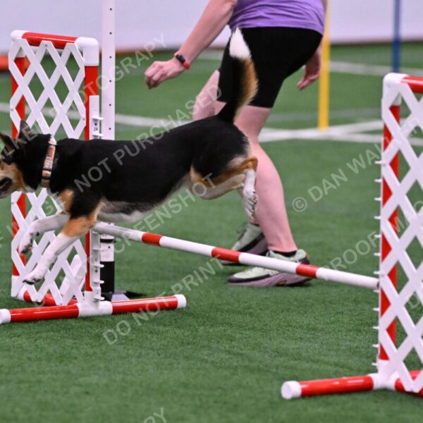 Rye-Elizabeth-Devore-10489