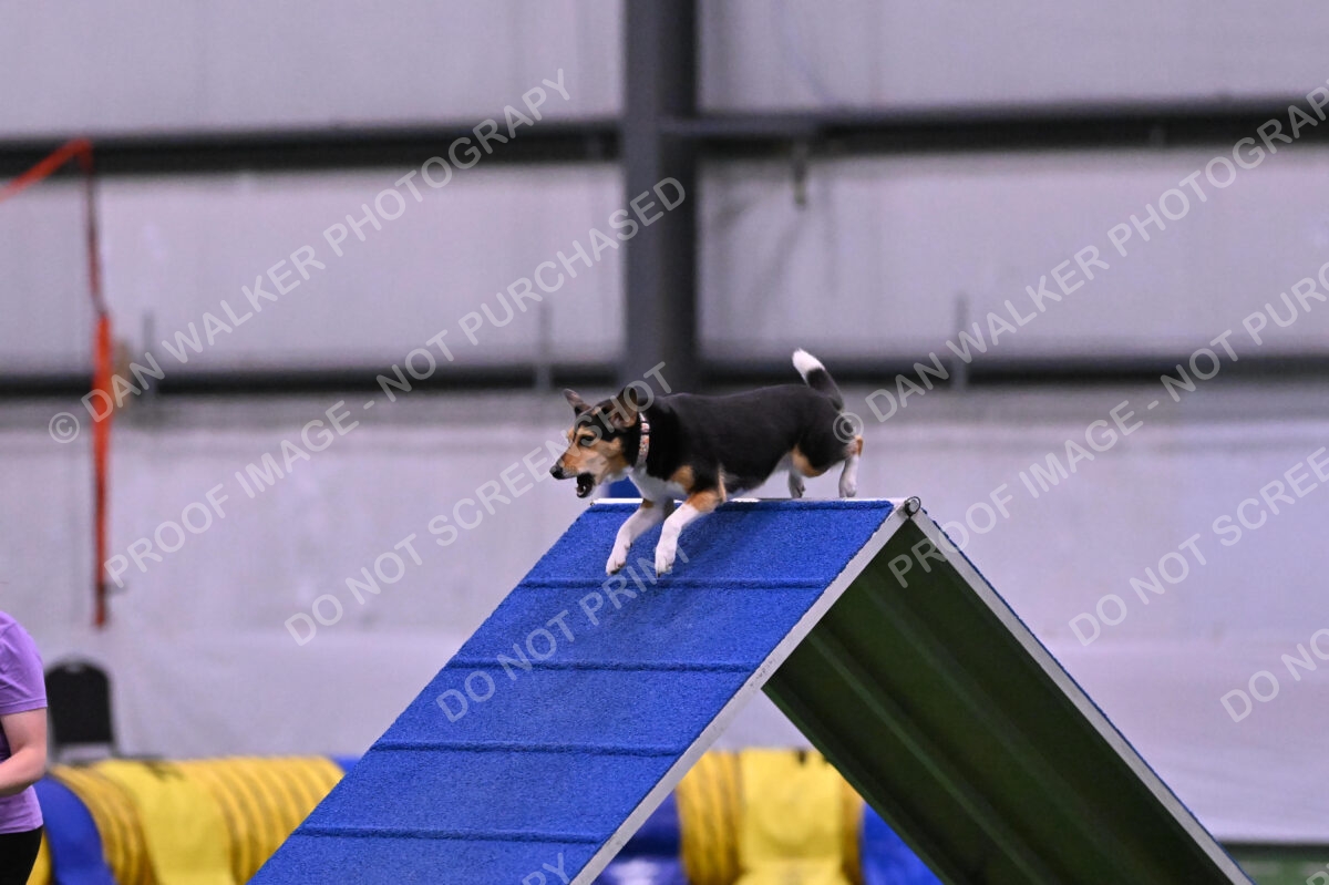 Rye-Elizabeth-Devore-10490