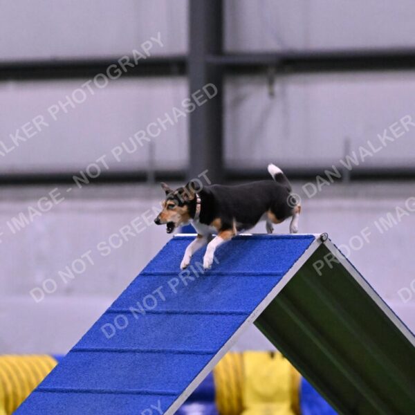 Rye-Elizabeth-Devore-10490