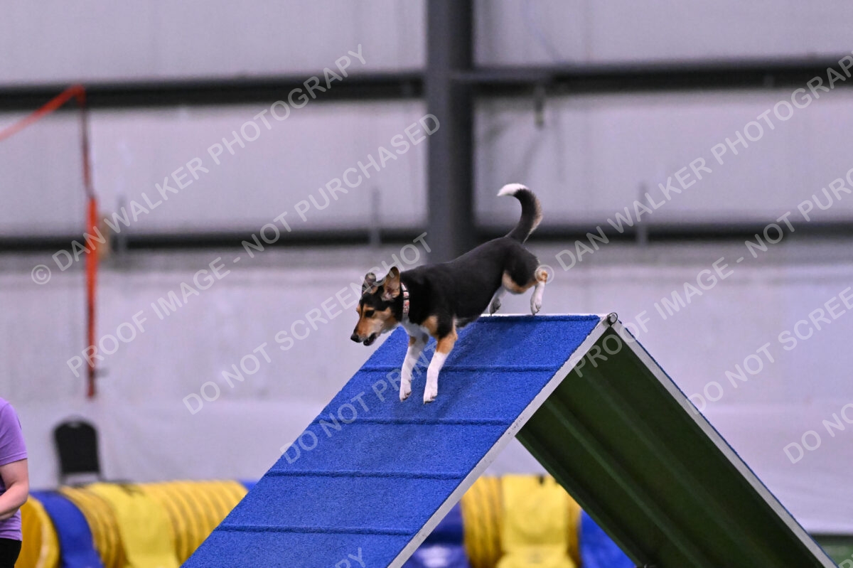 Rye-Elizabeth-Devore-10491