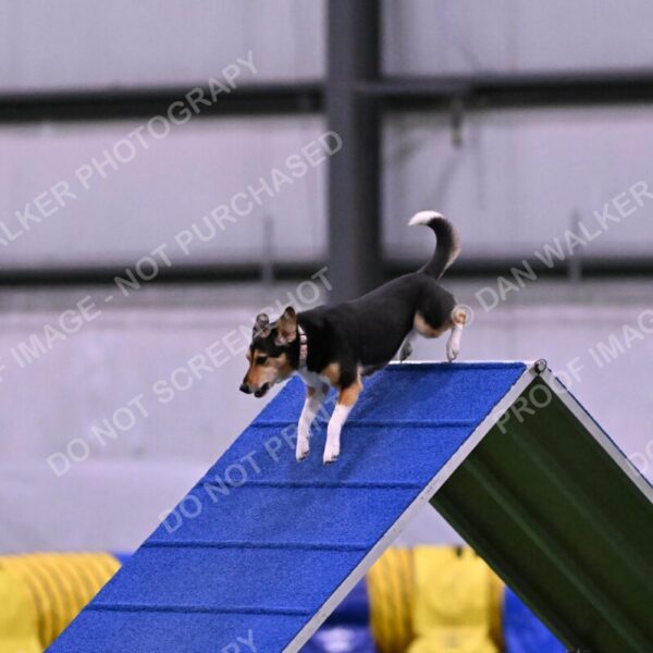 Rye-Elizabeth-Devore-10491