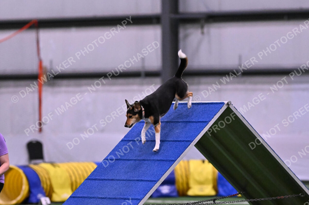 Rye-Elizabeth-Devore-10492