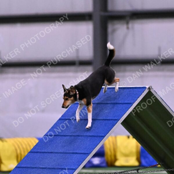 Rye-Elizabeth-Devore-10492