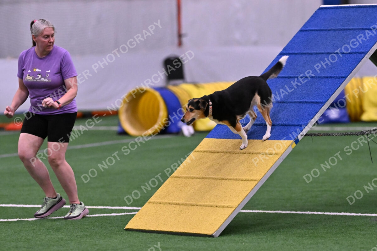 Rye-Elizabeth-Devore-10493