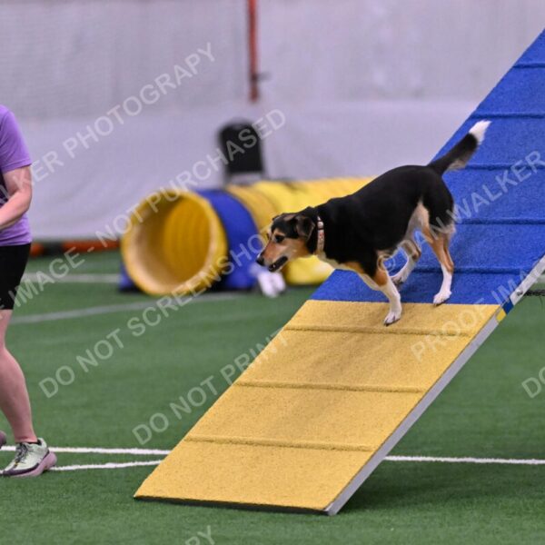 Rye-Elizabeth-Devore-10493