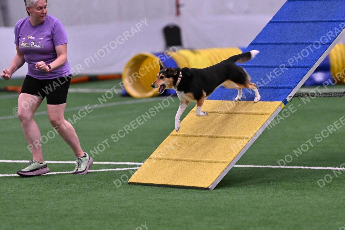 Rye-Elizabeth-Devore-10494