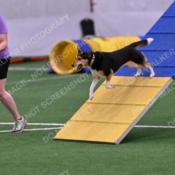 Rye-Elizabeth-Devore-10494