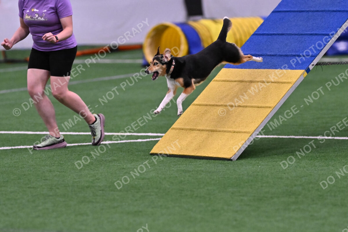 Rye-Elizabeth-Devore-10495