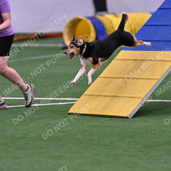 Rye-Elizabeth-Devore-10495