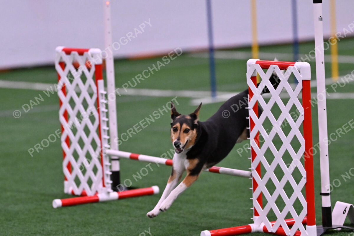 Rye-Elizabeth-Devore-10496