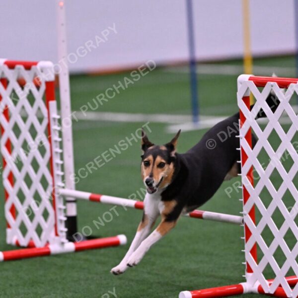 Rye-Elizabeth-Devore-10496