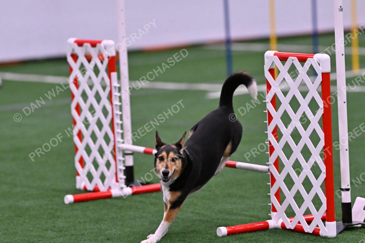 Rye-Elizabeth-Devore-10497