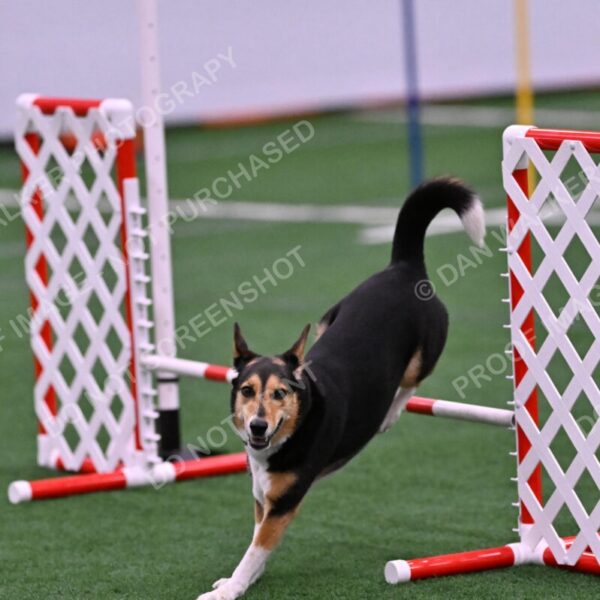 Rye-Elizabeth-Devore-10497