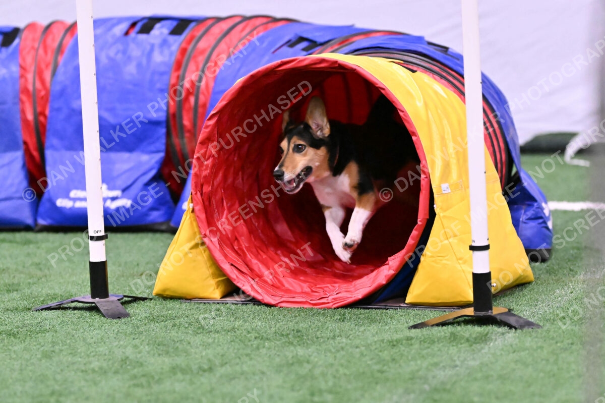 Rye-Elizabeth-Devore-10509