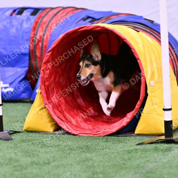 Rye-Elizabeth-Devore-10509