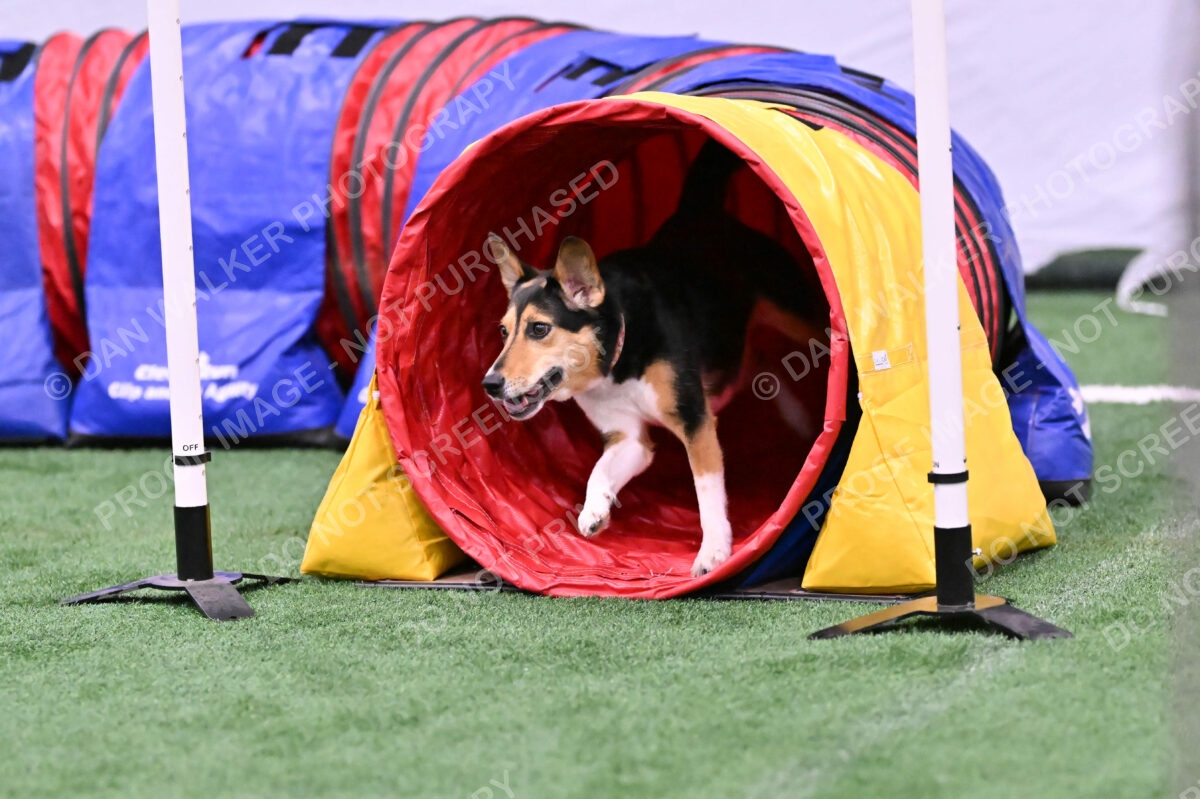 Rye-Elizabeth-Devore-10510