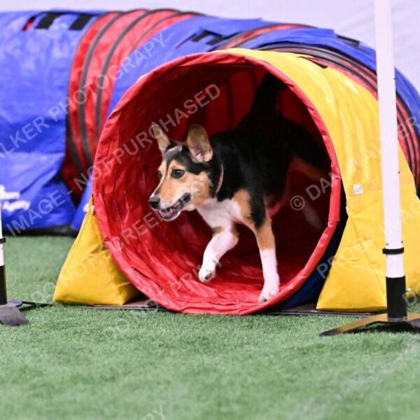 Rye-Elizabeth-Devore-10510